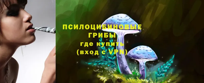 хочу   Томск  Псилоцибиновые грибы MAGIC MUSHROOMS 